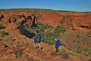 Products: Red Centre - 19 - Occasional Climber