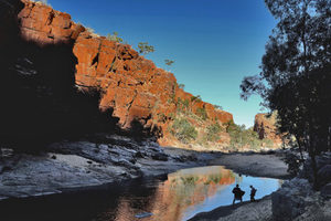 Products: Red Centre - 20 - Occasional Climber