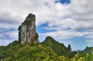 Products: Rarotonga - 01 - Occasional Climber