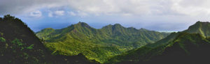 Products: Rarotonga - 06 - Occasional Climber