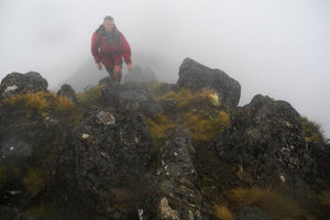 Products: Mt Hikurangi 2014 - 03 - Occasional Climber