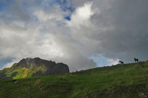 Mt Hikurangi 2014 - 07 - Occasional Climber