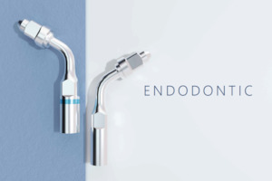 Ultrasonic Scaler: Ultrasonic Endodontic Tips (E Range)