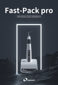 Obturation System: Fast-Pack pro
