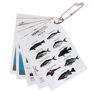 Accessories: Ocean Hunter Hunting Guide
