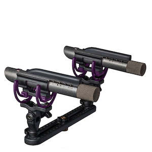 Microphones: Aston Starlight Stereo Pair