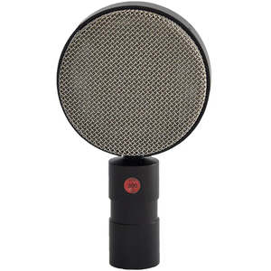 Microphones: Coles 4030L Studio Ribbon Microphone