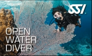 SSI OPEN WATER Oceans Alive