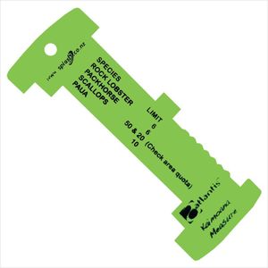 Products: Atlantis Measurer Oceans Alive