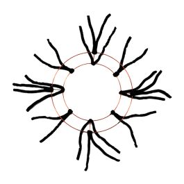 Products: Deco Wire Wreath Frame with Ties – 10”(25cm Dia) - Black Oceans Floral