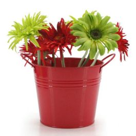 Tin Round Bucket w/Ear Handles Medium/Long 18TDx14BDx15.5Hcm - Red (04-13-LARGE)&hellip;