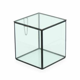 Glass “Sunglade” Terrarium w/Hinged Lid 13.5Sqx15Hcm - Clear/Black Oceans Floral