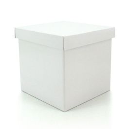 Cube Gift Box w/Lid 24Sqx24Hcm Pk/10 Oceans Floral