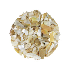 SHELL PIECES MOP SATIN FINES