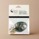 Paua Gem - Packaged