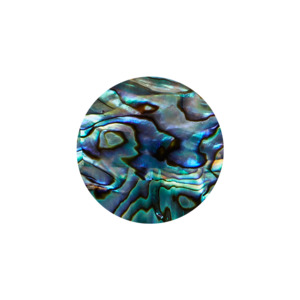 Products: SHELL VENEER SHAPE - PAUA - CIRCLE