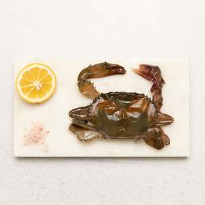 Crab Nz: Frozen Soft Shell Crab Whole (Raw)