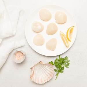Shellfish Nz: Scallops - Hokkaido 18/20