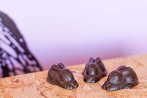 Ocho Easter: 70% Vanuatu Bunnies