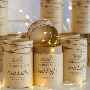 Candles: Charge & go Rechargeable Seed Lights 3mm