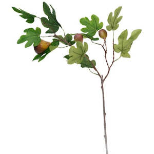 Foliage: Fig Spray Purple