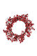 Red Berry Wreath