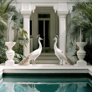 Wall: Blanca Birds 700 x 700