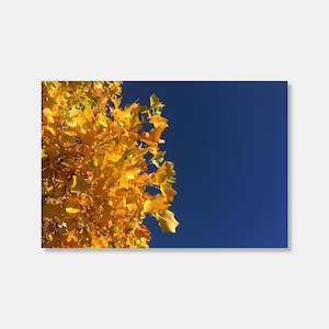 Gifts For Dad: Autumn Photo Print