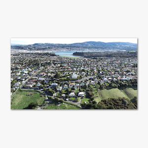 Odt Photos Of The Week: Andersons Bay Aerial