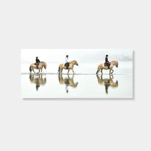 Norwegian Fjord horses wade through Back Bay at Warrington photo print