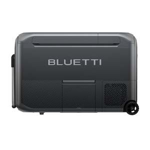 Carry: Bluetti MultiCooler | Portable Fridge