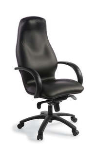 Executive: Silhouette Executive Chair