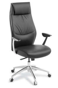 Executive: Eden Domain High Back Chair