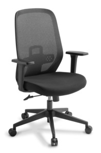 Eden Memo Mesh Chair - SPECIAL - Delivered in a Box