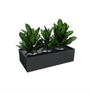 Tambours: Tambour Planter