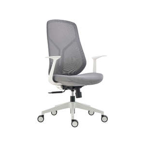 Mobel Yara Mesh Back Office Chair