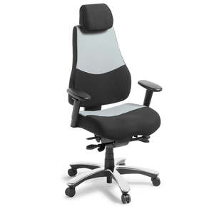 Ergonomic Furniture: Control Chair in Standard Black/Grey