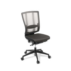 Office Task Chairs: Cloud Ergo Mesh-Back Task Chair