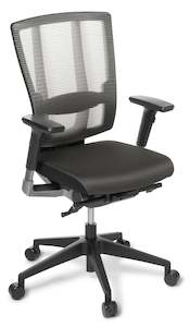 Mesh: Cloud Ergo Mesh Back Chair with Armrests