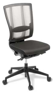 Cloud Ergo Mesh Back Chair - with Optional Armrests