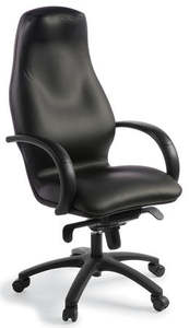 Silhouette Executive Office Chair in Black Leather - 7 Sizes