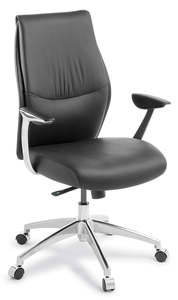 Domain Executive Chair in Genuine & PU Leather - Midback and Highback