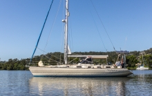 Products: SV Stylopora