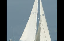 Products: Tangled Up