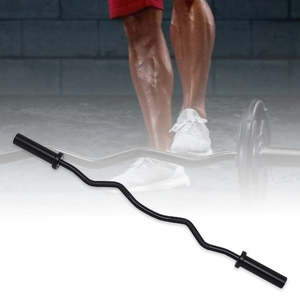 Fitness Barbells: Standard Olympic Barbell Curl Bar - 120CM