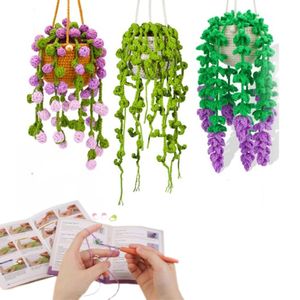 DIY Handmade Crochet Ornament Hanging Decor Kit