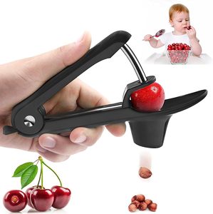 Home Living Kitchen Cookware: Fruit Pit Remover Pitter Tool