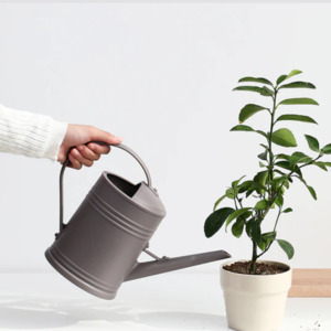 Garden Watering Can for Outdoor Plants & Flowers - Grey