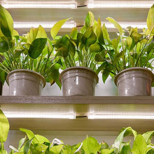 Home Living Home Decor Indoor Pots Planters: LED Grow Light Tube
