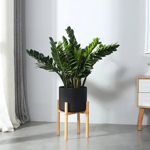 Modern Flower Pot With Display Potted Rack Black